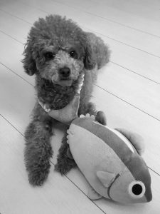 「ことばのたまゆら」1. チンする