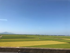 「ことばのたまゆら」9. 注意