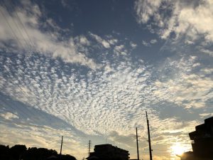 「ことばのたまゆら」14. シャンソン 詩と向き合う