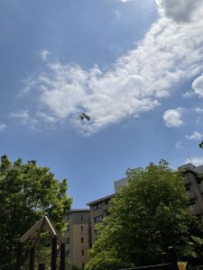 「ことばのたまゆら」13. 協力するって?