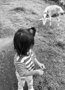 「ことばのたまゆら」13. 協力するって？