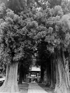 ことばのたまゆら23. 「奥が深いですね」