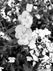 「ことばのたまゆら」5. りょ